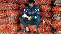 Onion wholesellers in Nashik go on indefinite strike to protest export duty hike