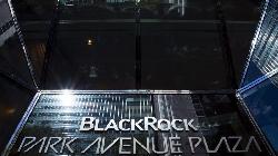 Calix sees high institutional investment with BlackRock as leading shareholder