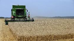Wheat futures in the US saw a decline, falling below $5.8 per bushel in September