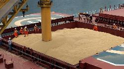 India's soymeal exports could more than double as prices rally