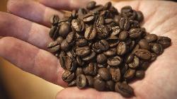 Amtrada agrees to sell global bulk coffee activities to Sucden