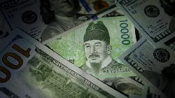 S.Korean currency hits 13-yr low against USD