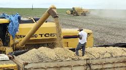 Brazil estimates over 301 mn tonnes in grain production for 2022-2023