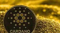 Cardano Price Analysis: What to Expect in the Next 48 Hours