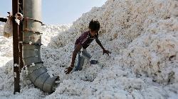 Cotton settled flat as investors were concerned about Chinese demand.