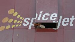 SpiceJet mulling equity raise amidst financial turbulence, board meeting on Dec 11