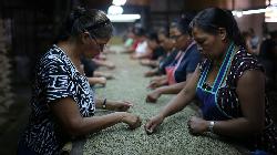 SOFTS-Arabica coffee hits two-month low, sugar and cocoa also down