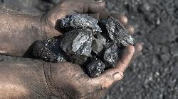 Coal India's Exemplary Performance: Beating Markets, and Unveiling 20% Upside