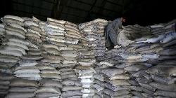 BRIEF-India's Rajshree Sugars & Chemicals Posts March-Qtr Loss