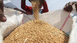 Govt may consider reducing import duty on wheat to curb rising prices, says FCI Chairman