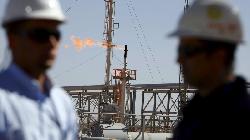 India's non-petroleum exports to UAE grew 14%