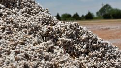 Cotton dropped amid concerns over a slowdown in China.