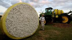 Cotton dropped on profit booking amid demand concerns from the top buyer China.