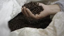 SOFTS-Raw sugar rises as October expiry sees record delivery; coffee up