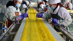 China Factory Activity Falls at Slower Pace as Covid Curbs Ease
