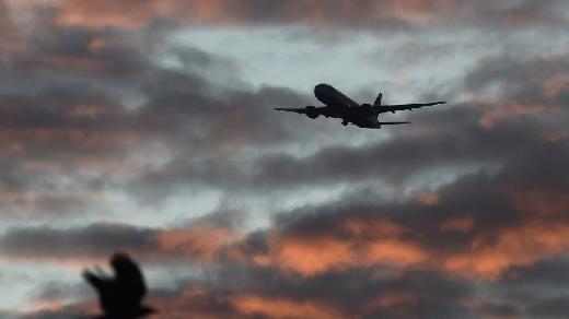 © Reuters.  sizes=