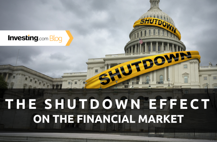 How the U.S. Government Shutdown Affected the Markets