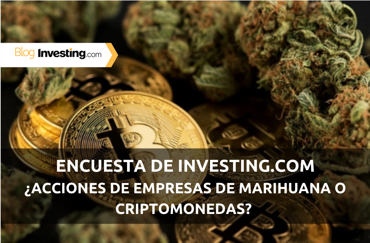 Encuesta de Investing.com: ¿Acciones de empresas de marihuana o criptomonedas?