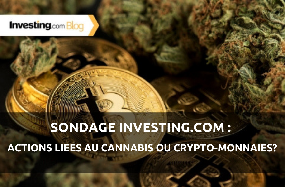Sondage Investing.com: Actions sur cannabis ou crypto-monnaies?
