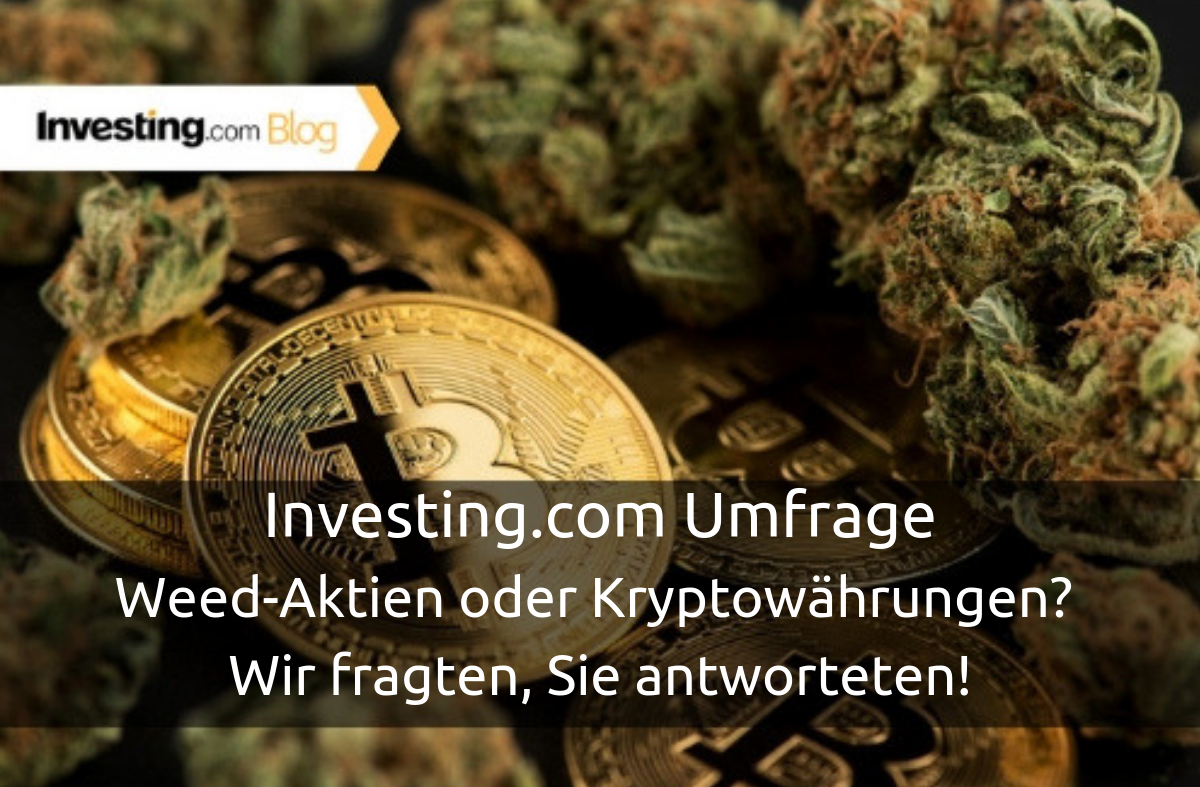 Investing.com Umfrage: Weed-Aktien oder Kryptowährungen? Wir fragten, Sie antworteten!