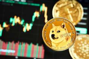 Robô ‘caça’ memecoins com potencial de até 30.000%