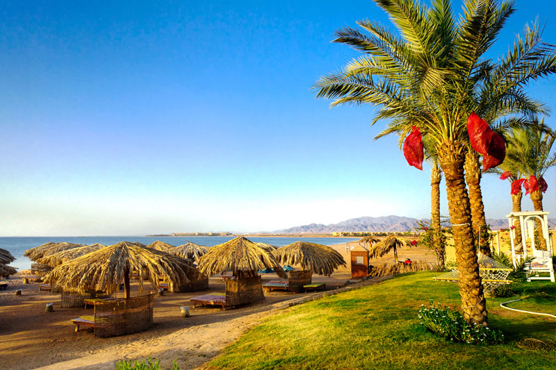 “مصر للسياحة” تطرح “أبلكيشن” للترويج للمقاصد السياحية خلال 6 أشهر