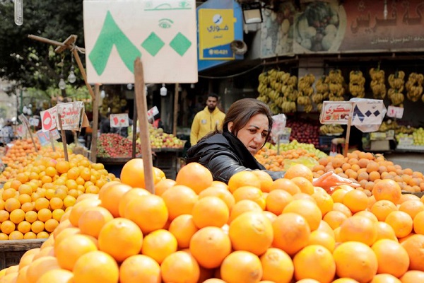 عاجل: بيانات هامة تبشر بانخفاض التضخم في مصر