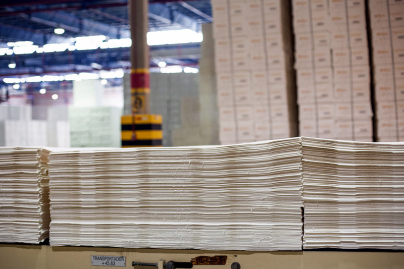 BB-BI mostra otimismo com setor de papel e celulose com demanda internacional alta