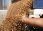 ¿Nuevo pacto Rusia-Ucrania? 5 claves este martes en Bolsa