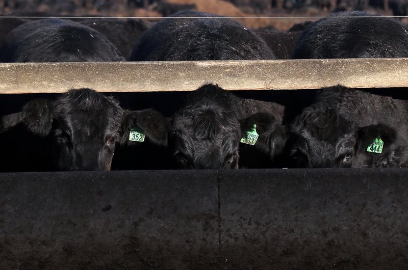 &copy; Reuters.  Canada dairy farmers content as TPP deal keeps system intact