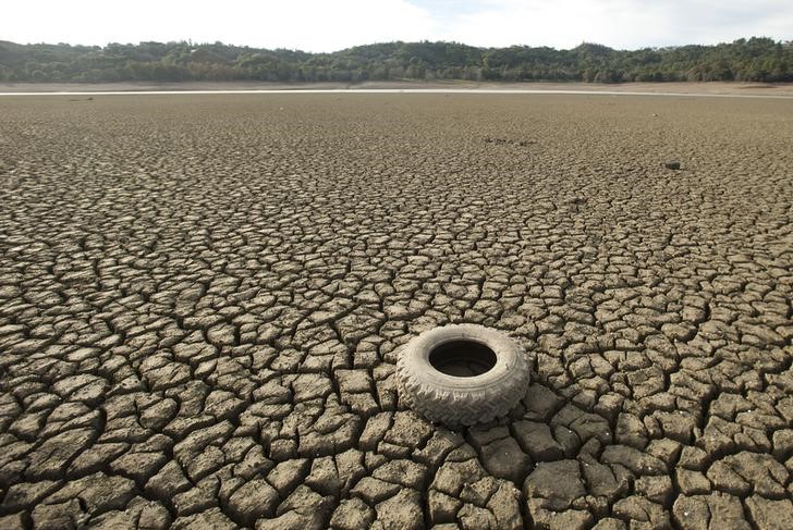 &copy; Reuters.  UPDATE 1-This year's El Nino weather pattern could be strongest on record - experts 