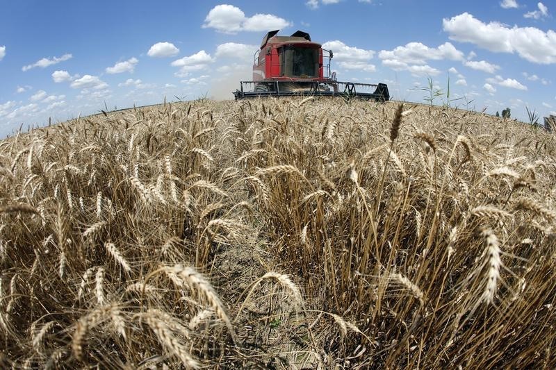 &copy; Reuters.  USDA月报在即，美国小麦下跌