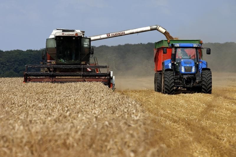 &copy; Reuters.  Экспортная пошлина на пшеницу из РФ с 28 декабря повысится почти на 25%