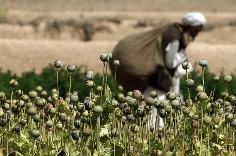 &copy; Reuters.  VIRUS-TICKER-Afghanistan meldet erste Infektion