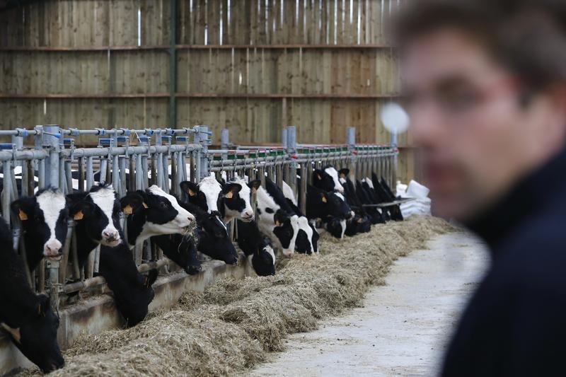 &copy; Reuters.  Canada to pay farmers for any losses under trade deal -minister