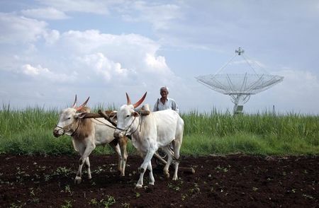 BofA sees sluggish June, monsoon rains boost agriculture