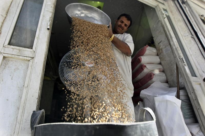 هيئة السلع المصرية تطلب ما بين 55 ألفا و60 ألف طن من القمح للشحن بين 11 و20 ديسمبر