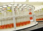 1:10 Stock Split and 1:1 Bonus: Pharma Stock in Focus after Proposal for Split and Bonus Issue