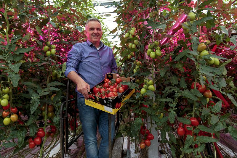 &copy; Reuters.  Australia slaps anti-dumping duties on canned Italian tomatoes