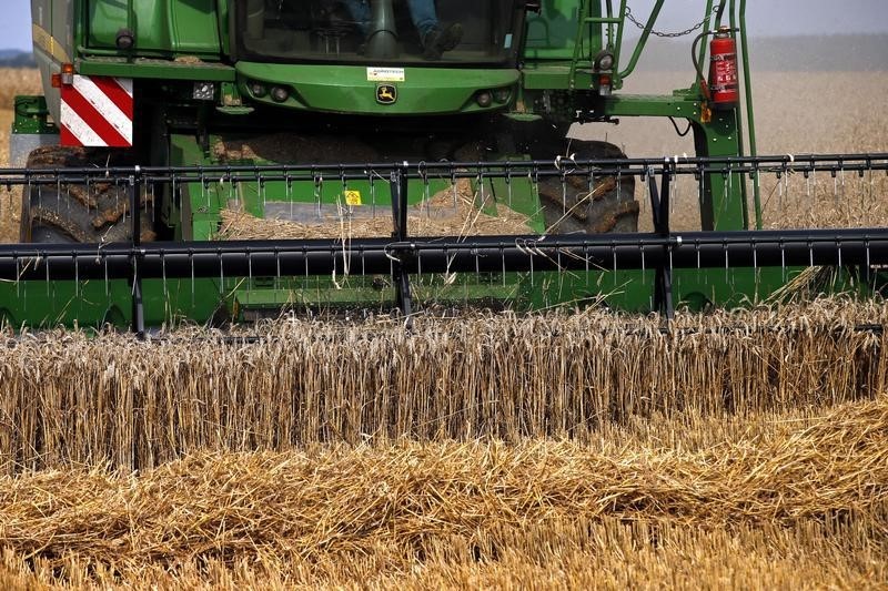 &copy; Reuters.  С 11 января экспортная пошлина на пшеницу из РФ повысится на 14,5%