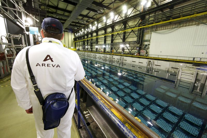 &copy; Reuters.  Areva factory ill-equipped to make nuclear parts - French watchdog