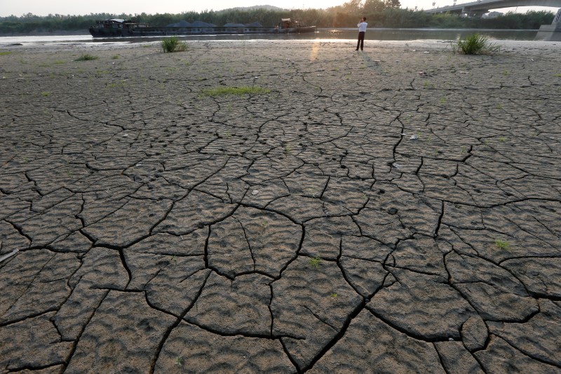 &copy; Reuters.  Sequía en Argentina amenaza con recortar área de soja 2017/18: expertos