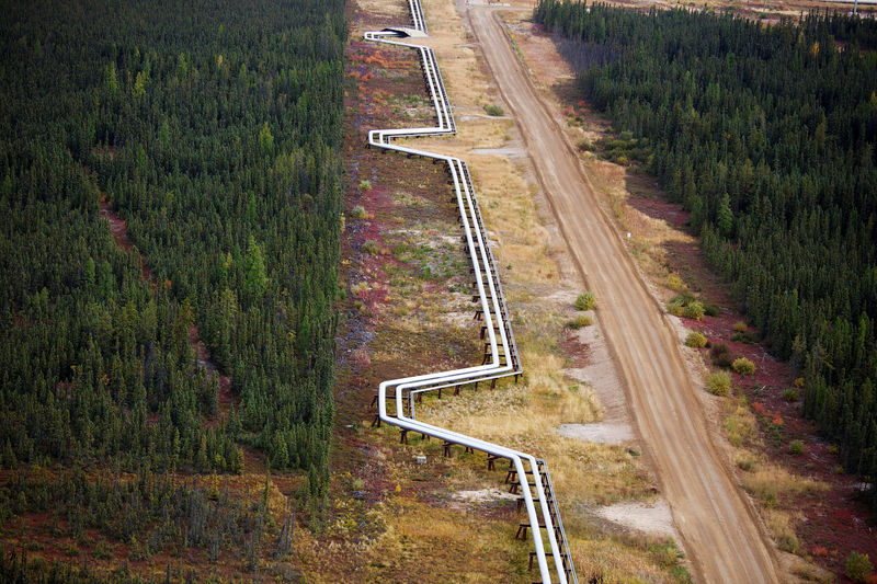 © Reuters. FILE PHOTO: Pipelines carrying steam to wellheads and heavy oil back to the processing plant line the roads and boreal forest at the Cenovus Energy Christina Lake Steam-Assisted Gravity Drainage (SAGD) project 120 km (74 miles) south of Fort McMurray, Alberta, August 15, 2013. Cenovus currently produces 100,000 barrels of heavy oil per day at their Christina Lake tar sands project. REUTERS/Todd Korol 