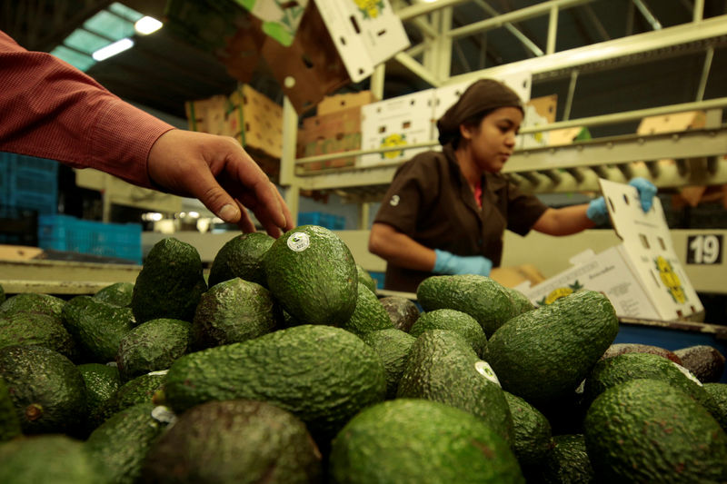 &copy; Reuters.  BRIEF-Organto Expands Avocado Supply Chain