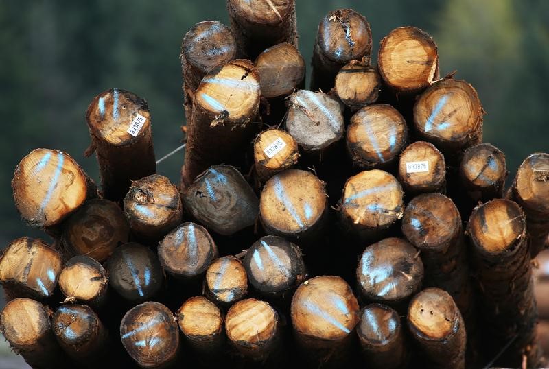Xuất khẩu gỗ 11 tháng năm 2021 tăng 20% so với cùng kỳ năm trước