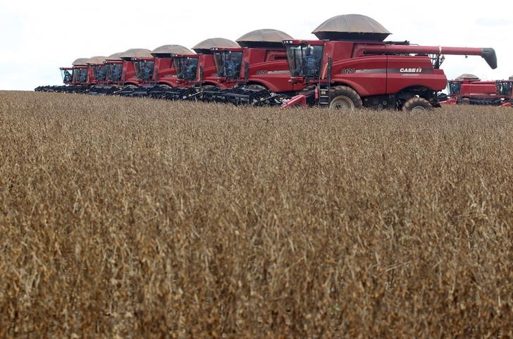 China Strives for Soybean Self-Sufficiency Amid Global Tensions