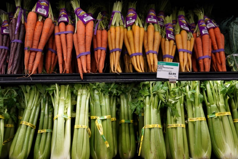 Dünya gıda fiyatları Şubat'ta art arda dokuzuncu defa artış kaydetti, Temmuz 2014'ten bu yana en yüksek seviyeye ulaştı