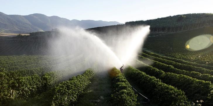 &copy; Reuters.  Starbucks Pays Farmers $20 Million More as Coffee Crisis Deepens