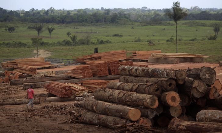 &copy; Reuters.  البرازيل تؤكد سيادتها على الأمازون في مواجهة مطالبات بالتدخل