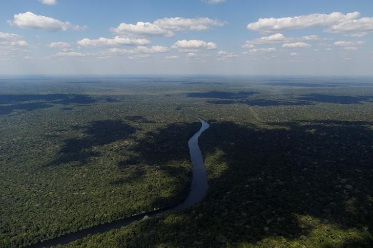 Brasilianische Firmen machen Druck gegen Regenwald-Zerstörung